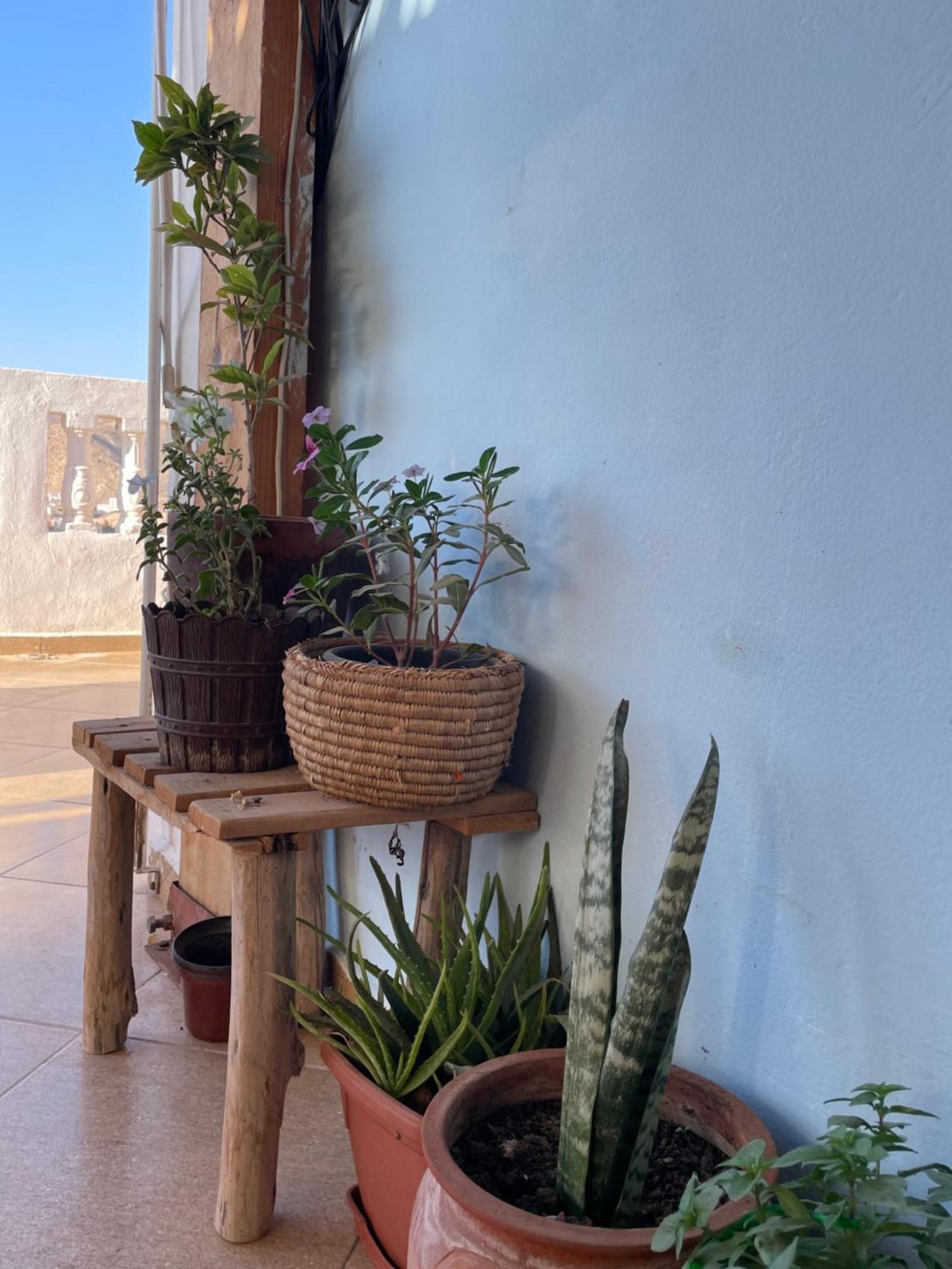 Kosasurfmorocco Hotel Aourir Buitenkant foto